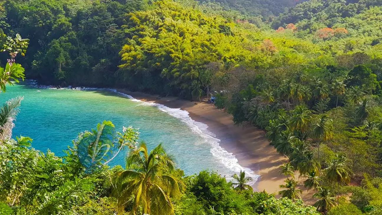 Vịnh Englishman ở Tobago